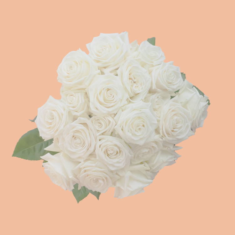 White Rose Bouquet from the Moonlight Collection from The Rose Atelier.